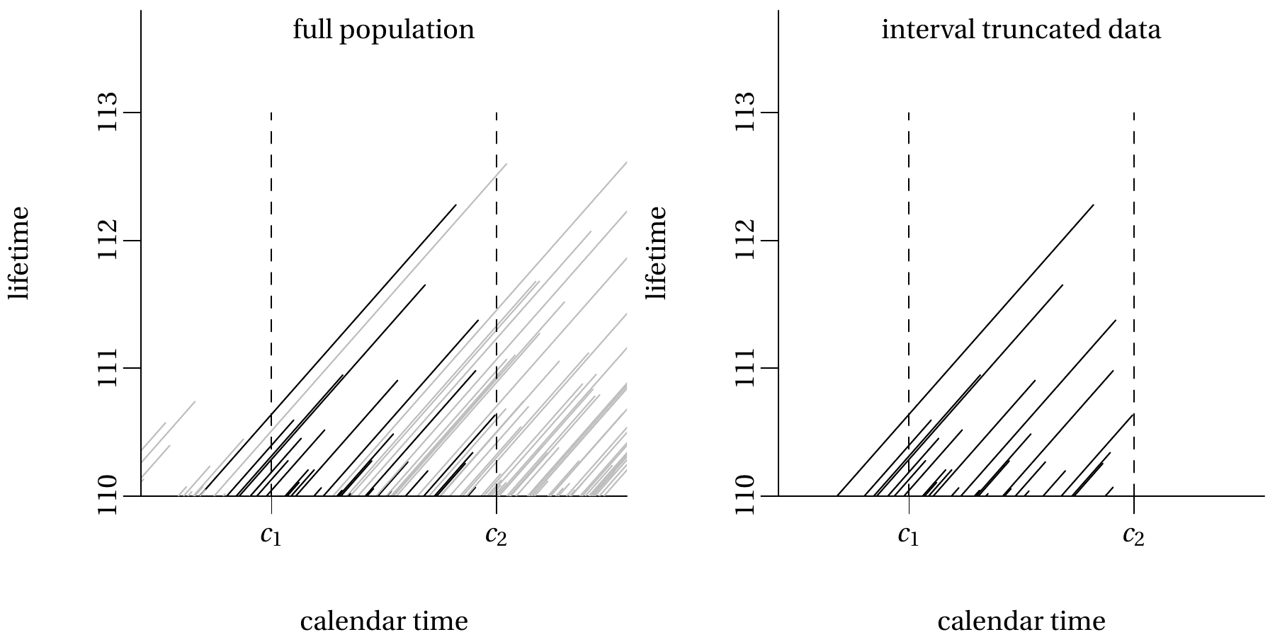 Lexis diagrams showing the selection mechanism.